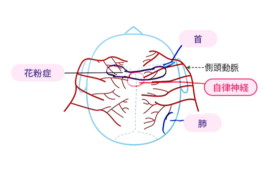 身体の不調との関係性(2)